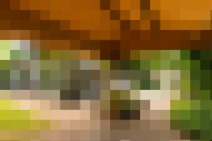 Taludweg 41 Hilversum thumbnail 25