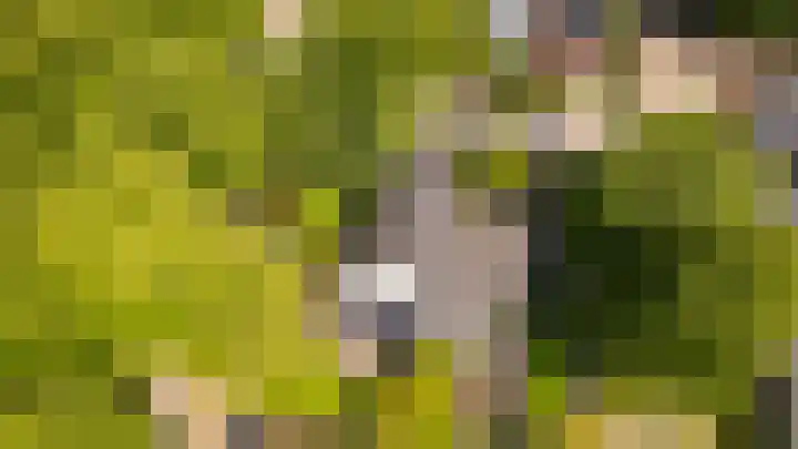 Taludweg 41 Hilversum thumbnail 4