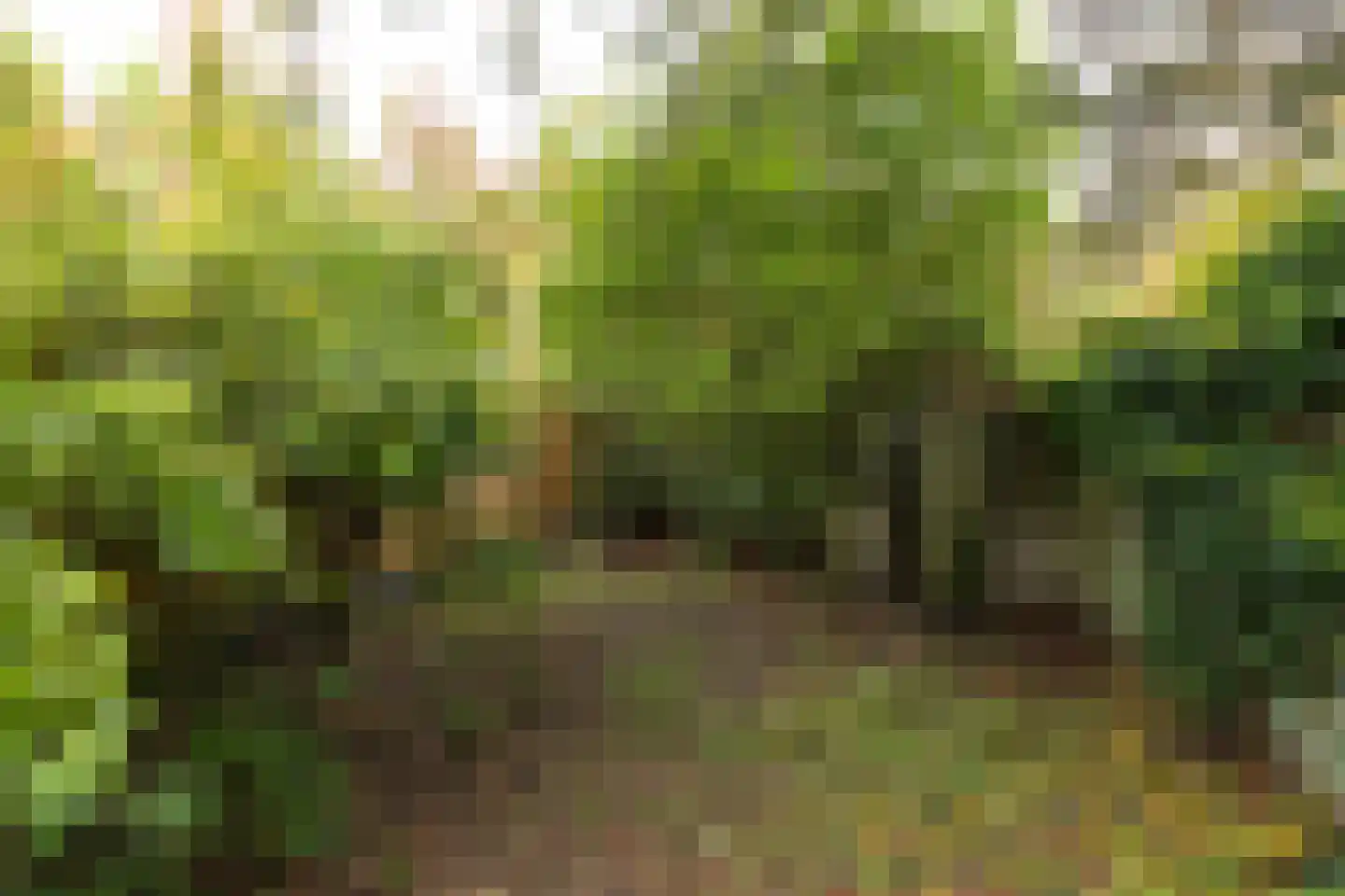 Taludweg 59 Hilversum thumbnail 30