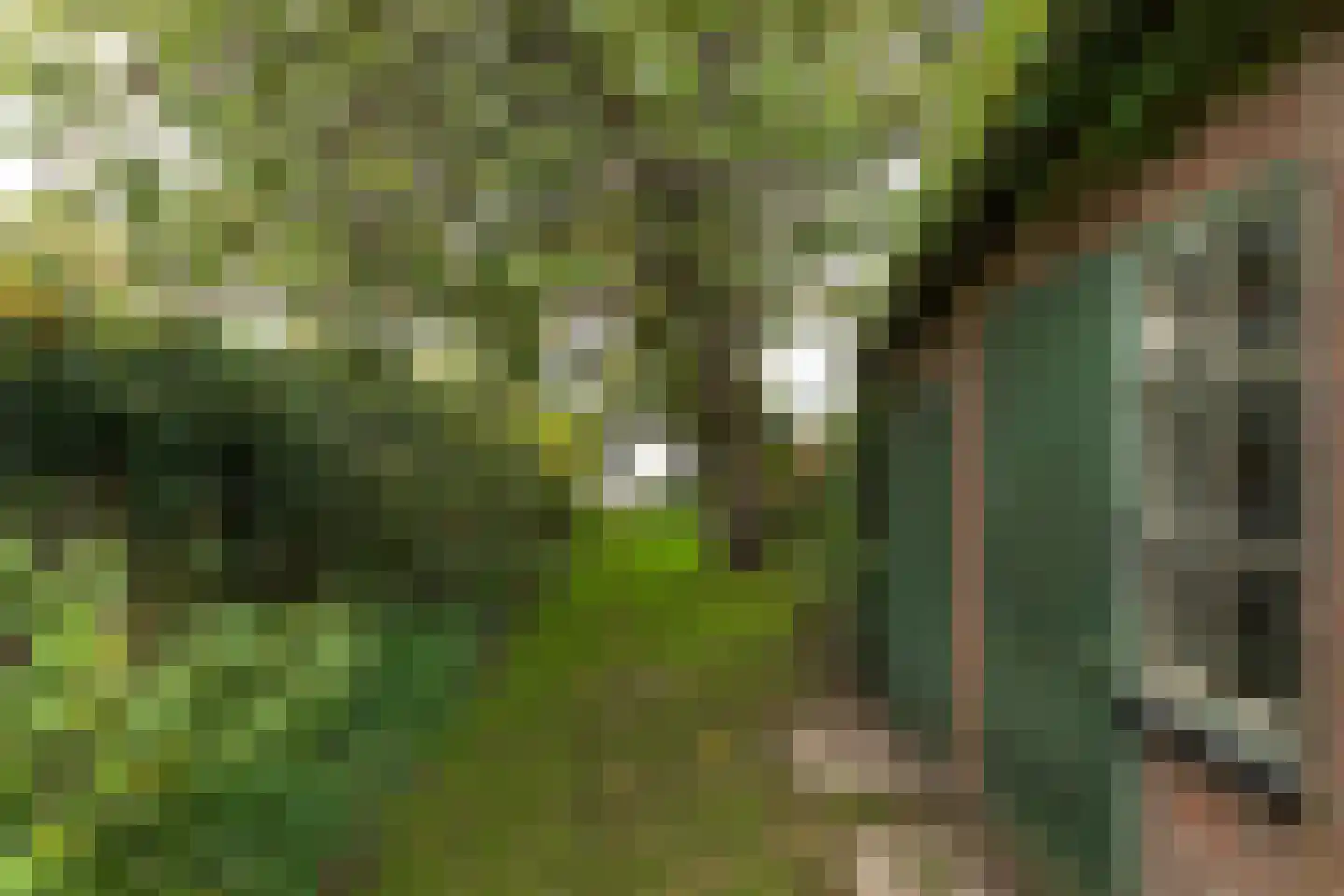 Taludweg 59 Hilversum thumbnail 31