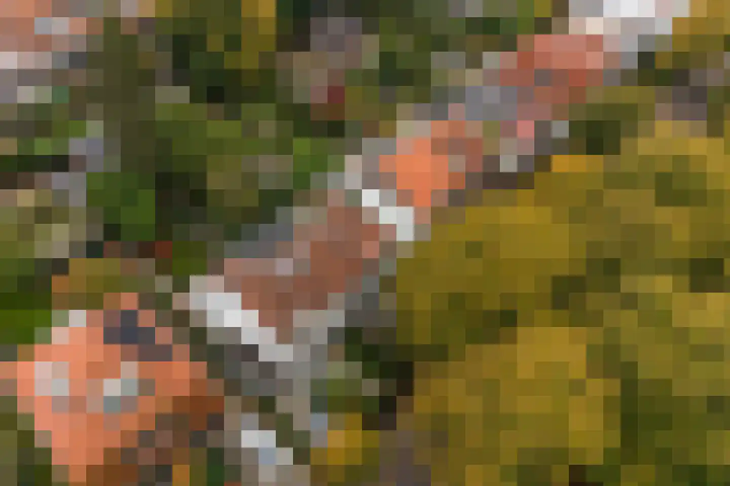 Taludweg 59 Hilversum thumbnail 34