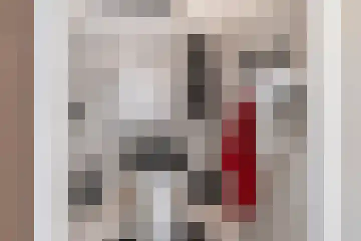 Tamarastraat 43 Culemborg thumbnail 27