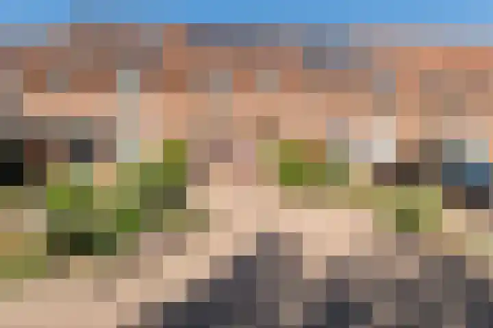 Tamarastraat 43 Culemborg thumbnail 28