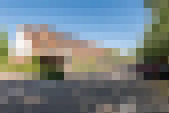 Tamarastraat 43 Culemborg thumbnail 4