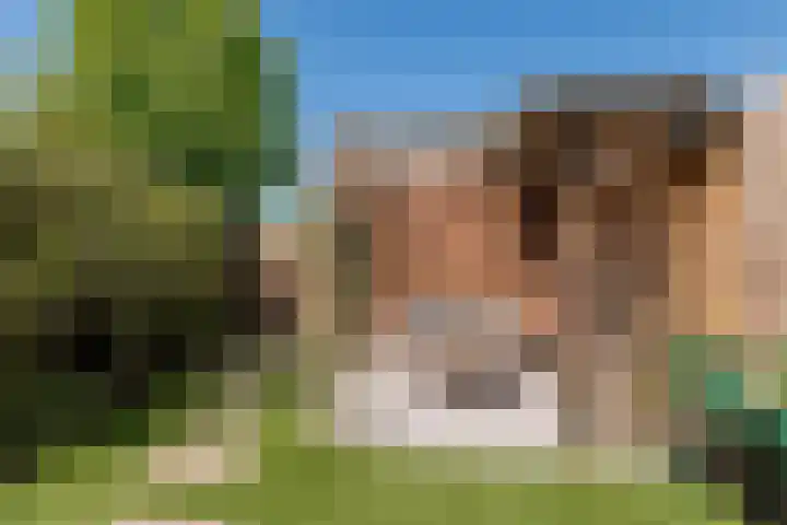 Tamarastraat 43 Culemborg thumbnail 8