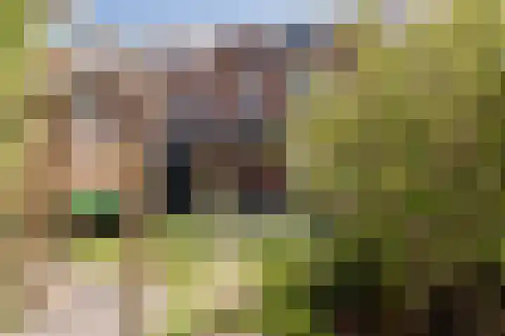 Tamarastraat 43 Culemborg thumbnail 9