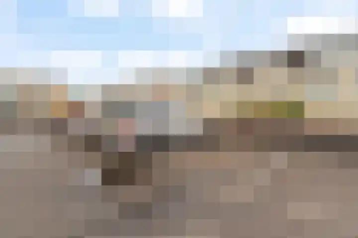 Tamarijnslaantje 29 Noordwijk thumbnail 22