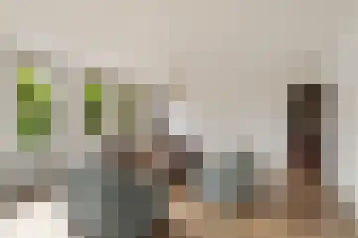 Tamarijnslaantje 29 Noordwijk thumbnail 5