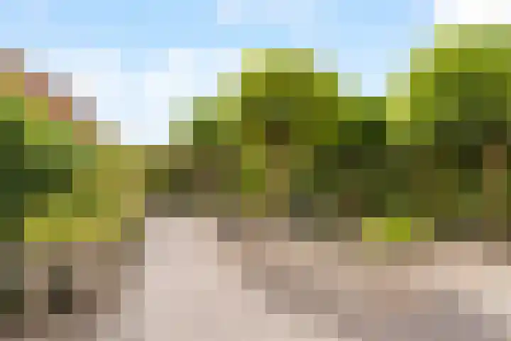 Tamarijnslaantje 29 Noordwijk thumbnail 9