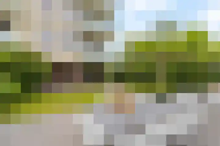 Tamarijnslaantje 31 Noordwijk thumbnail 16