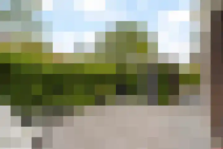 Tamarijnslaantje 31 Noordwijk thumbnail 21