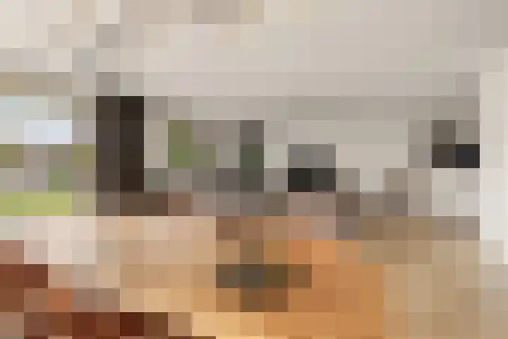 Tamarijnslaantje 31 Noordwijk thumbnail 4
