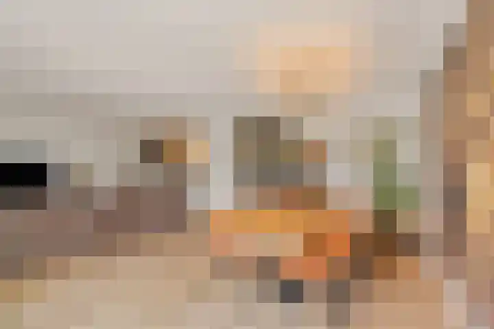 Tamarijnslaantje 31 Noordwijk thumbnail 6