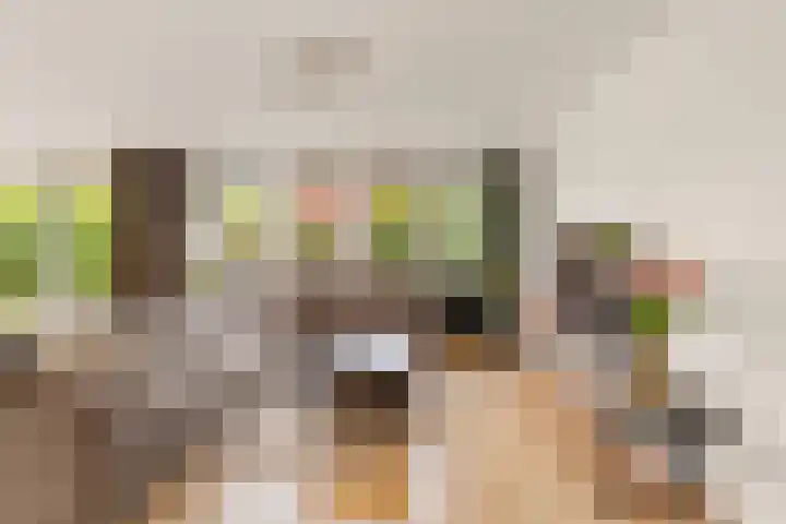Tamarijnslaantje 31 Noordwijk thumbnail 7