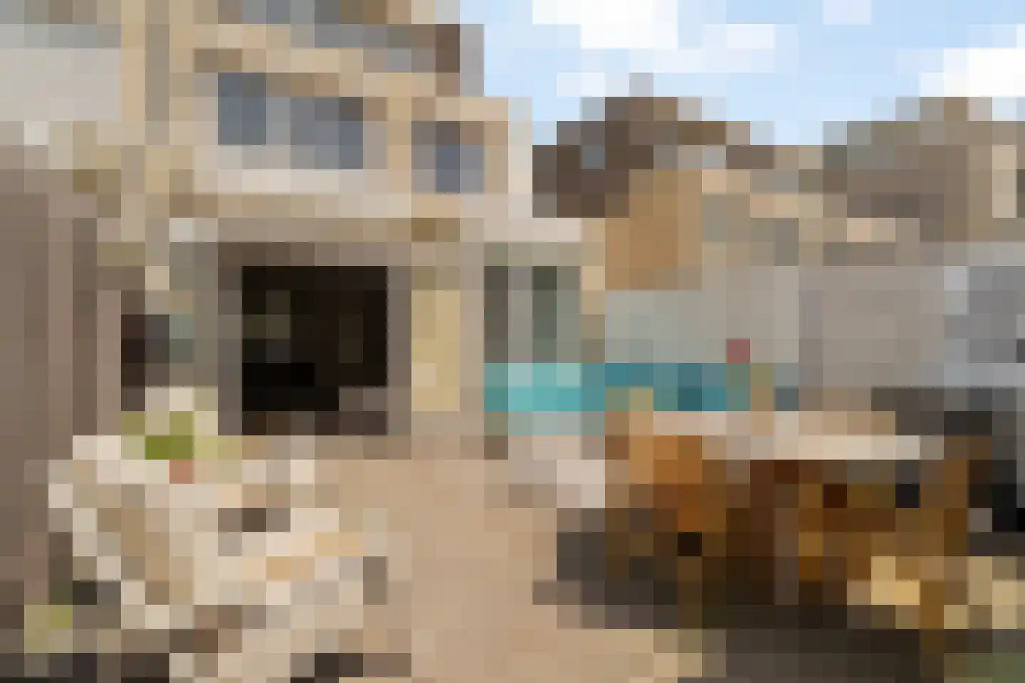 Tamarijnslaantje 39 Noordwijk thumbnail 10