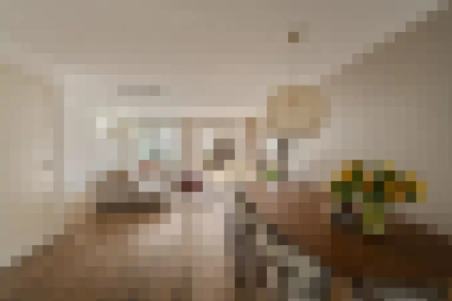 Tamarijnslaantje 39 Noordwijk thumbnail 17