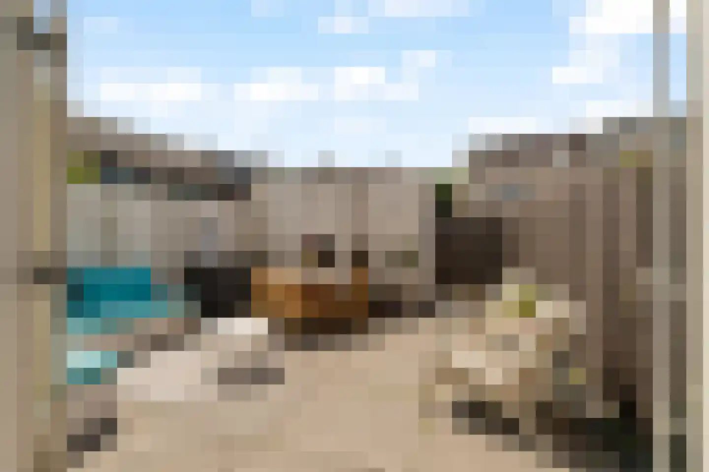Tamarijnslaantje 39 Noordwijk thumbnail 9