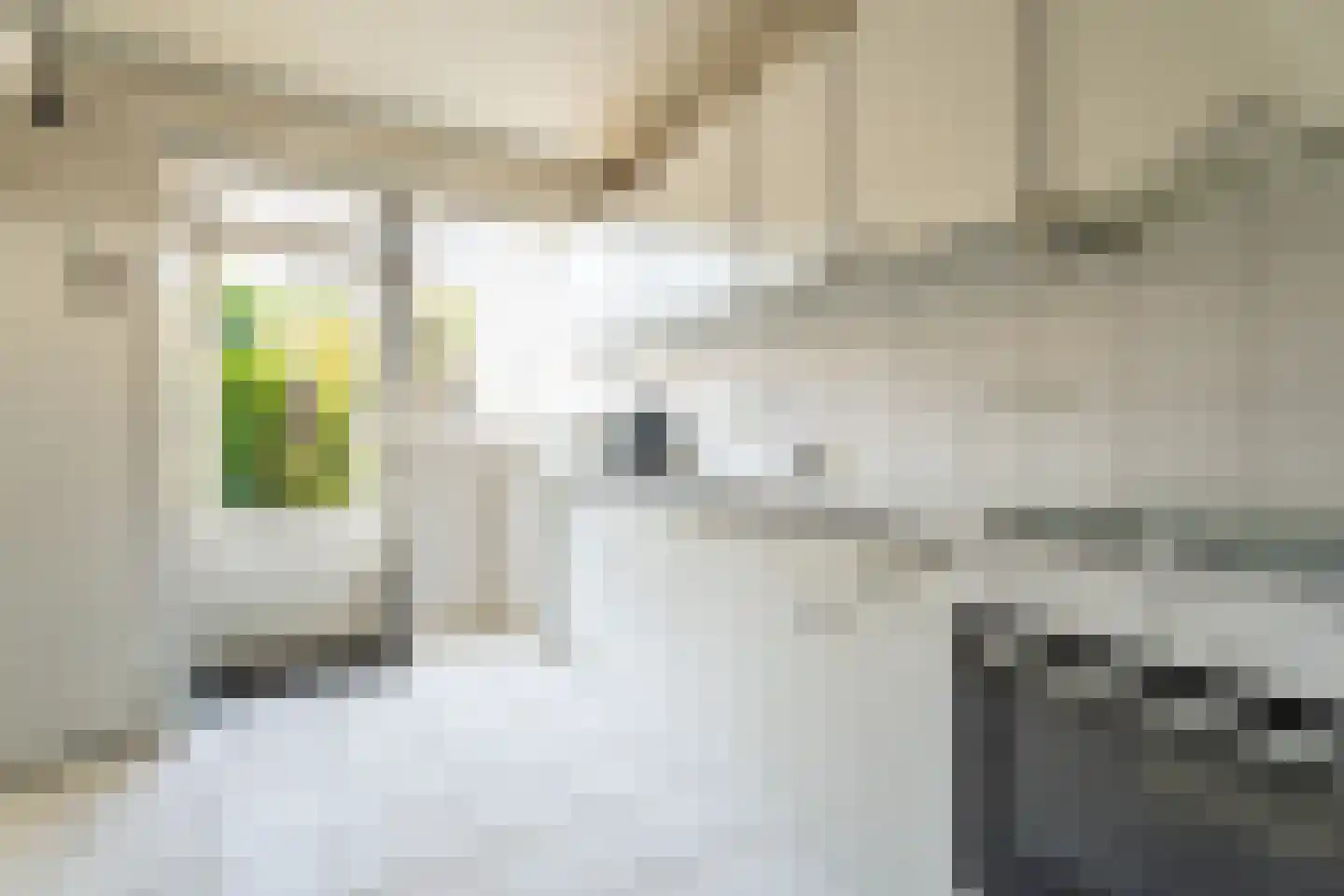 Tamarindestraat 6 Tilburg thumbnail 10