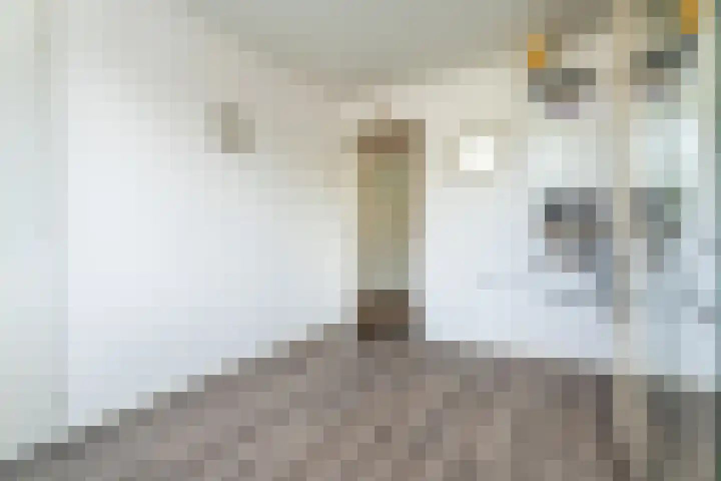 Tamarindestraat 6 Tilburg thumbnail 20