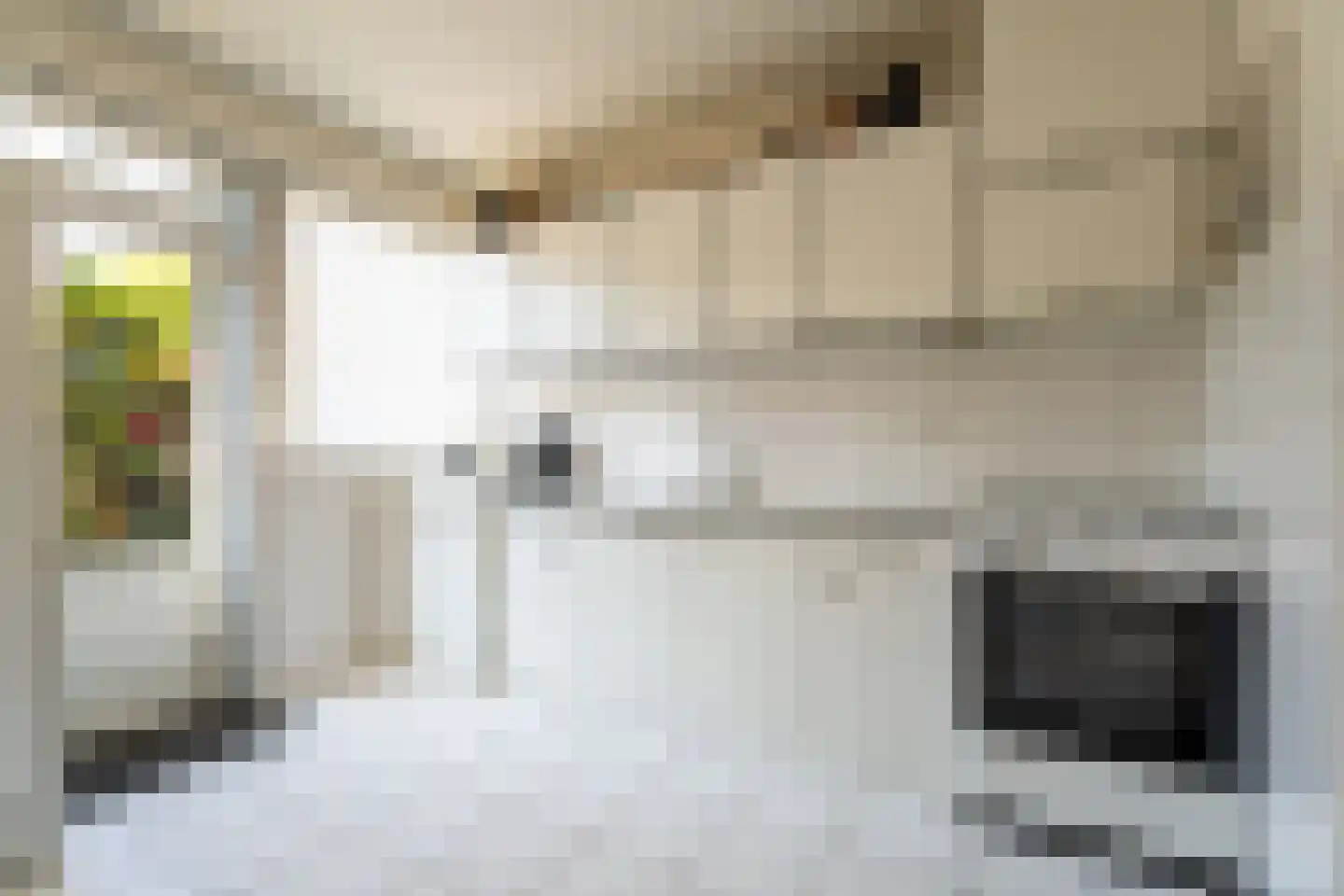 Tamarindestraat 6 Tilburg thumbnail 8