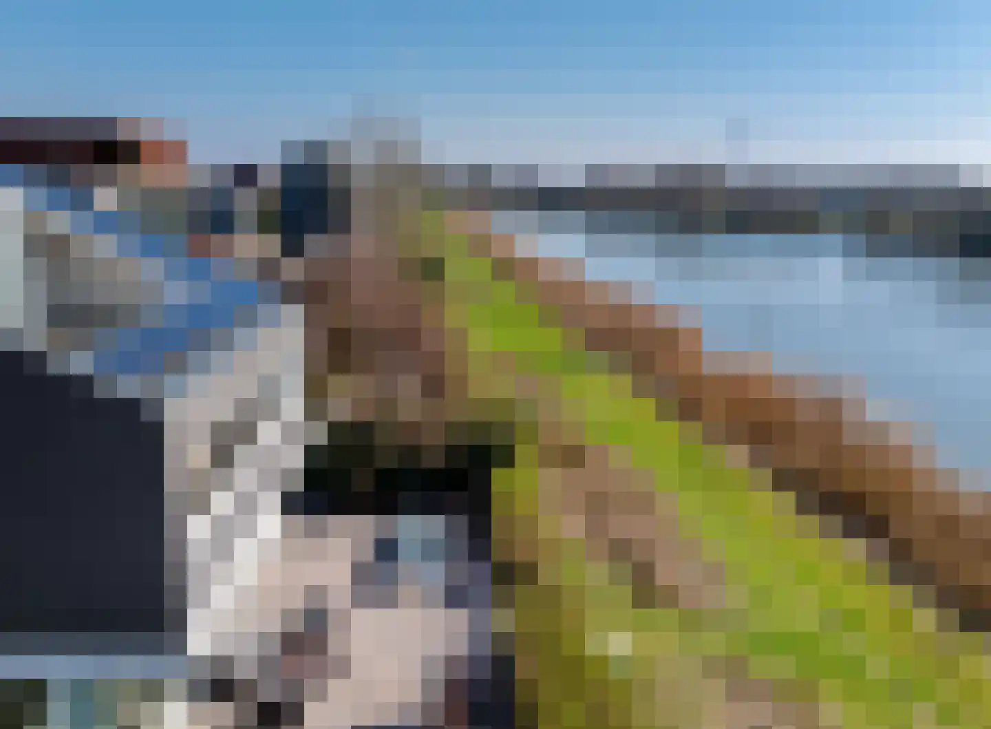 Tamariskhof 11 Amsterdam thumbnail 10