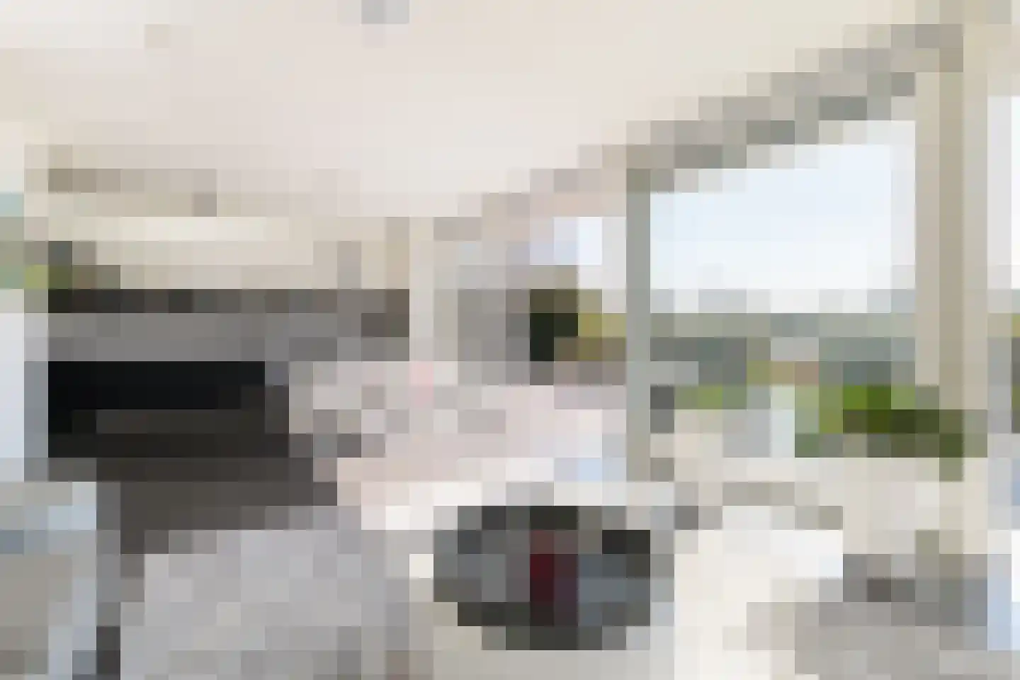 Tamariskhof 11 Amsterdam thumbnail 16