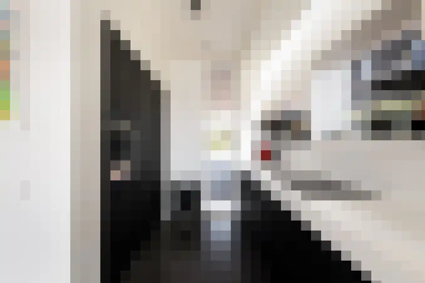 Tamariskhof 11 Amsterdam thumbnail 19