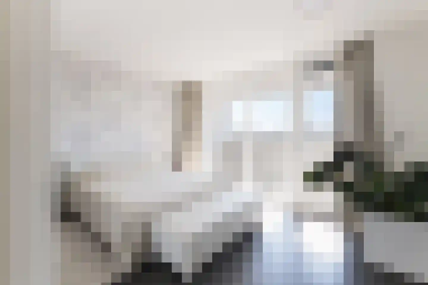 Tamariskhof 11 Amsterdam thumbnail 33