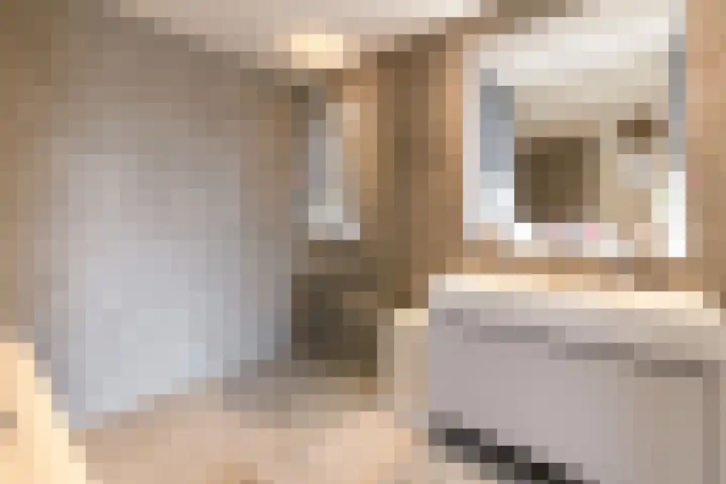 Tamariskhof 11 Amsterdam thumbnail 37