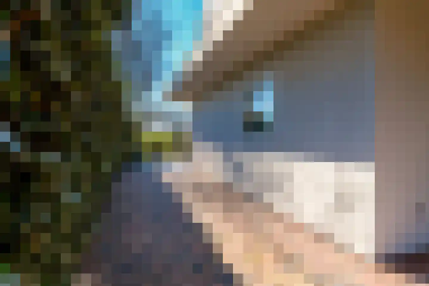 Tamariskhof 11 Amsterdam thumbnail 55