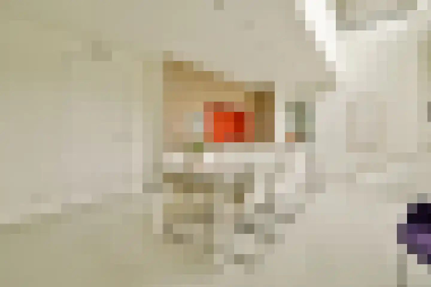 Tamariskhof 7 Amsterdam thumbnail 10