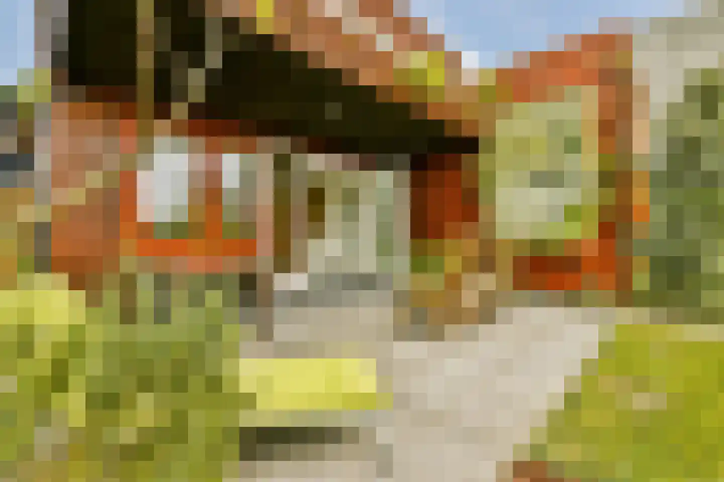 Tamariskhof 7 Amsterdam thumbnail 12