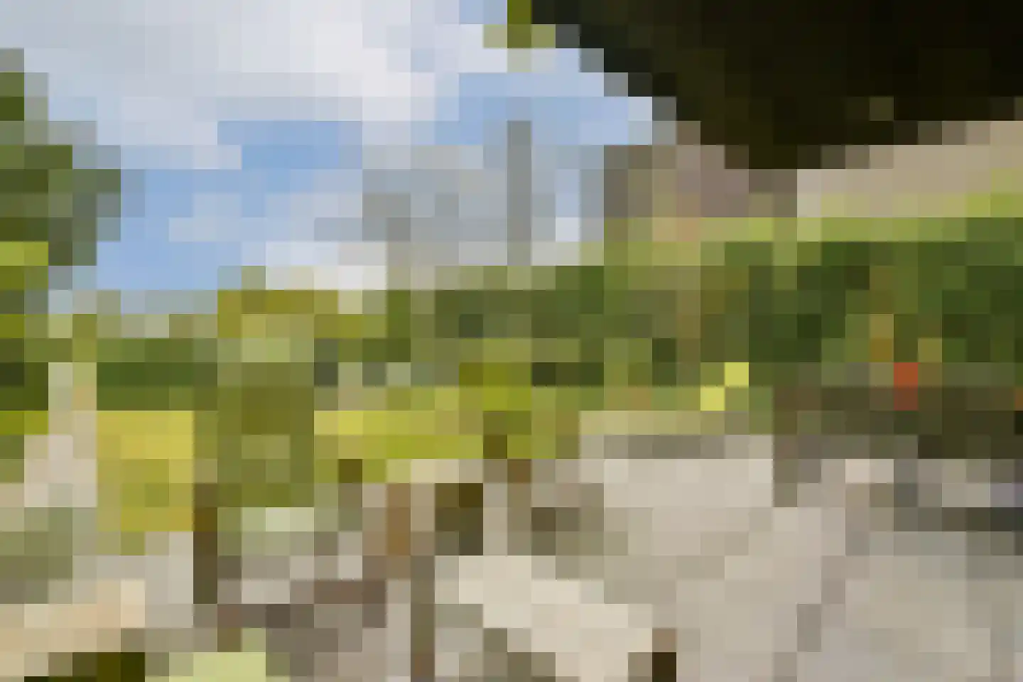 Tamariskhof 7 Amsterdam thumbnail 13
