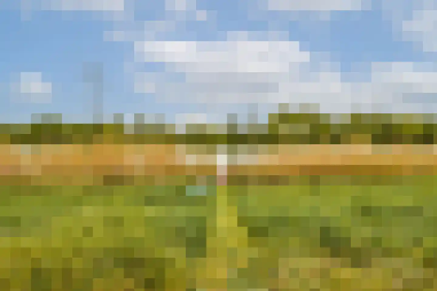 Tamariskhof 7 Amsterdam thumbnail 14