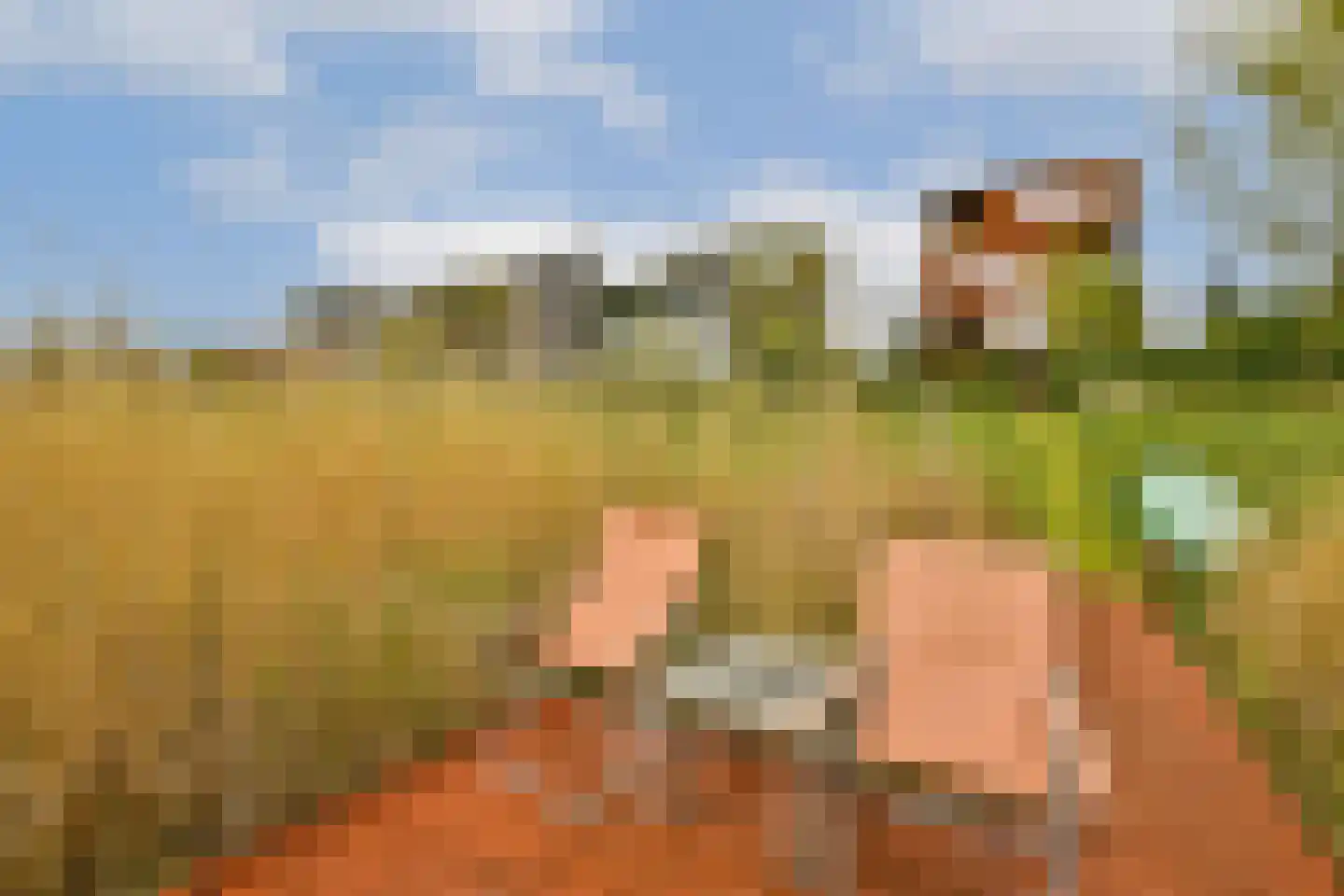 Tamariskhof 7 Amsterdam thumbnail 16