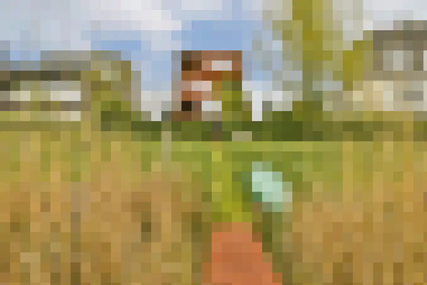 Tamariskhof 7 Amsterdam thumbnail 17