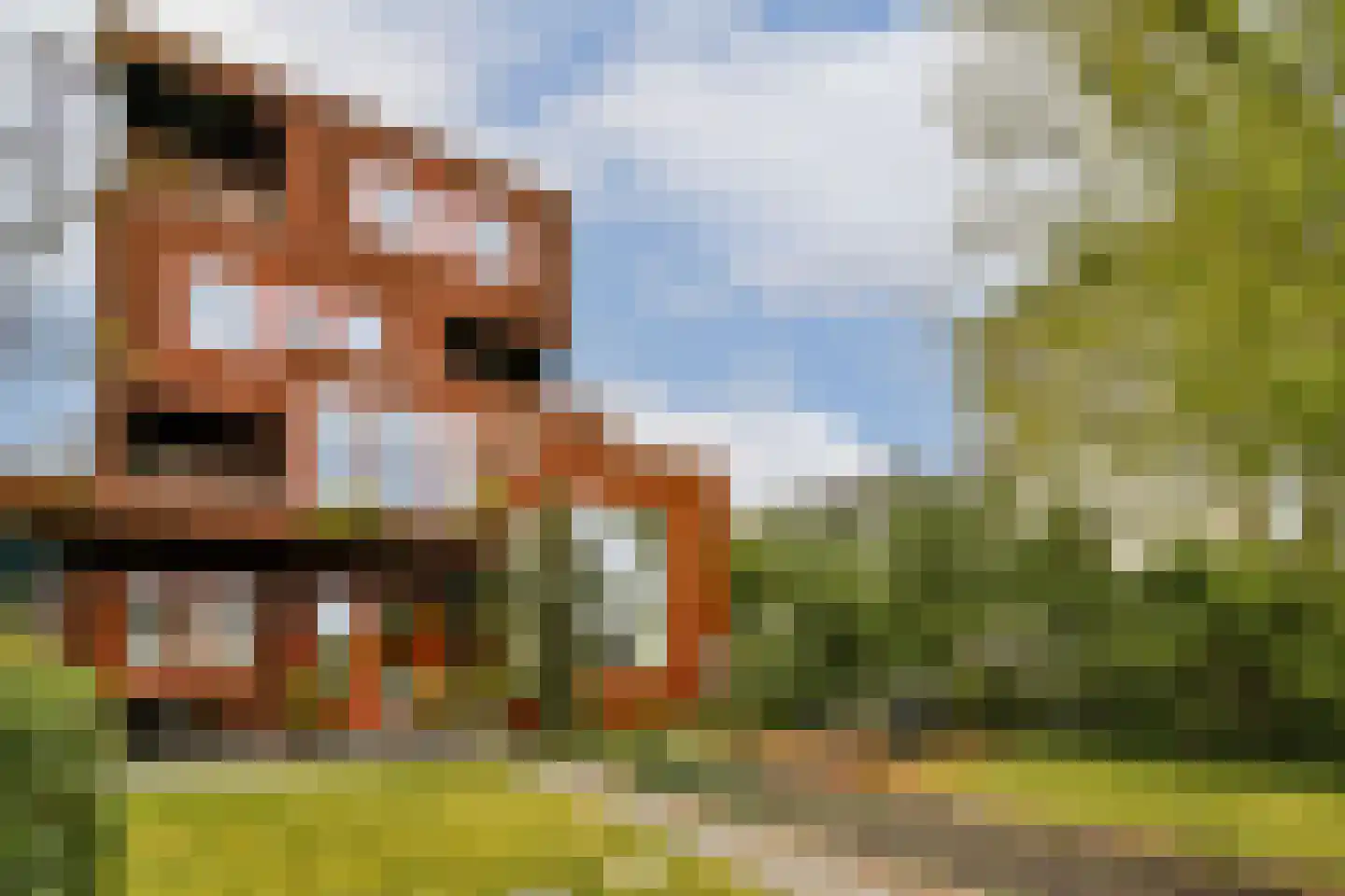 Tamariskhof 7 Amsterdam thumbnail 18