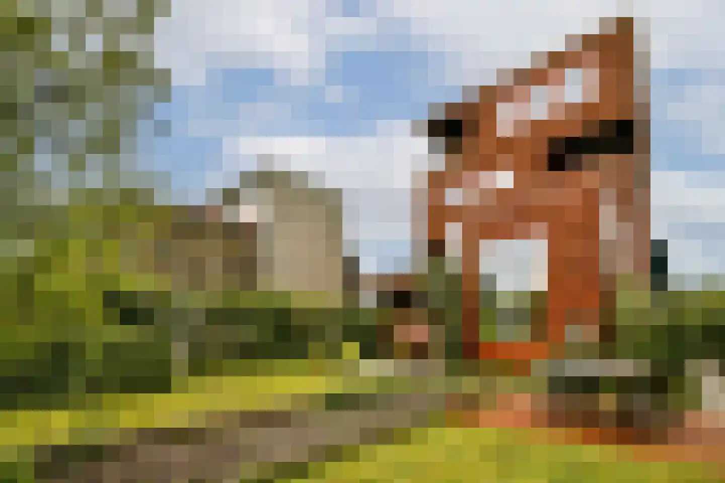 Tamariskhof 7 Amsterdam thumbnail 19