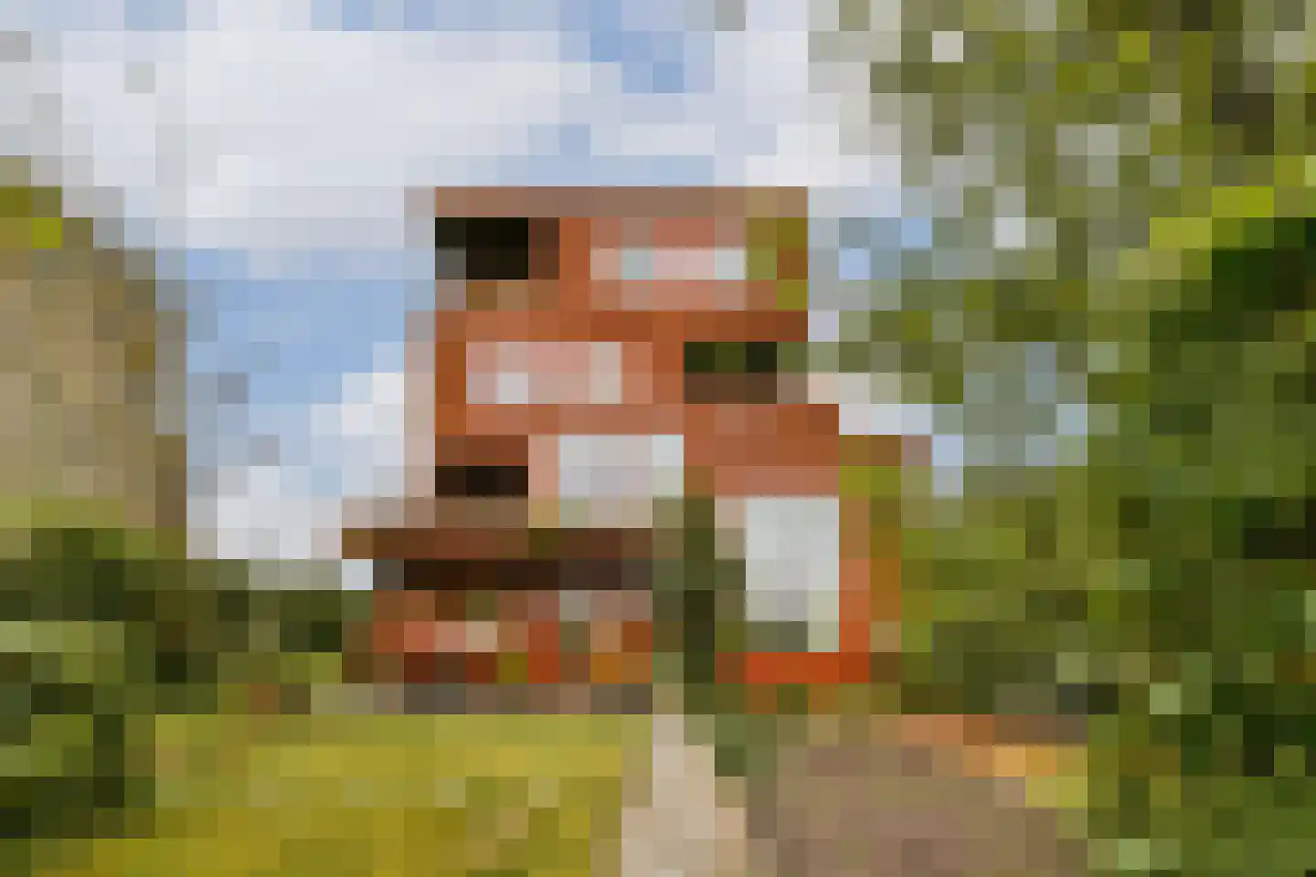 Tamariskhof 7 Amsterdam thumbnail 19