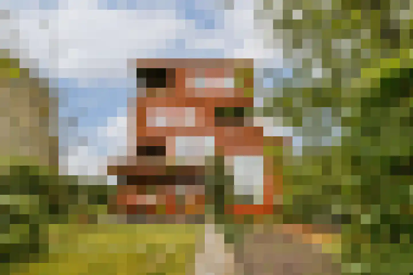 Tamariskhof 7 Amsterdam thumbnail 20