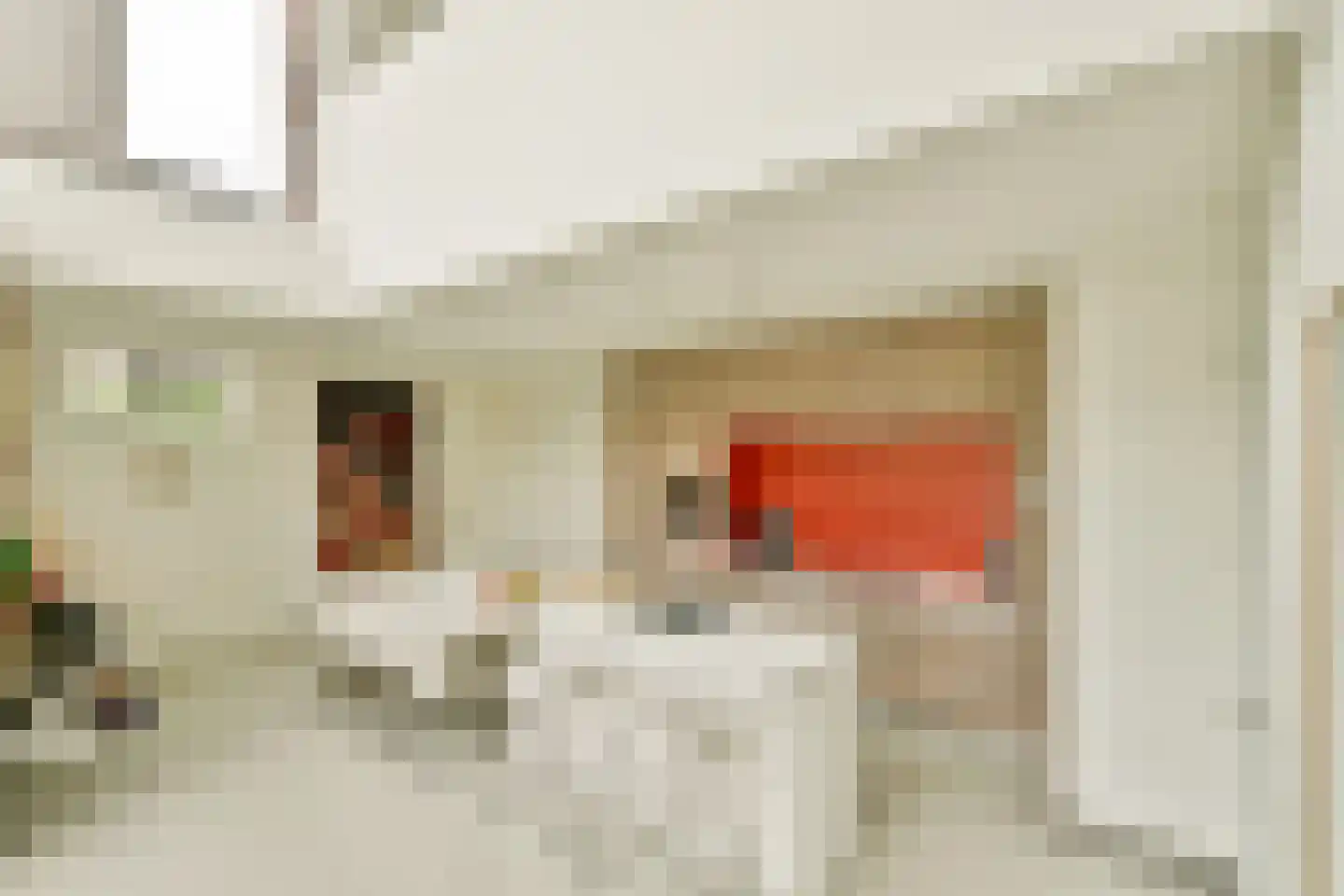 Tamariskhof 7 Amsterdam thumbnail 21