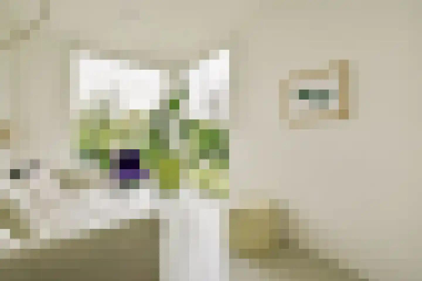 Tamariskhof 7 Amsterdam thumbnail 22