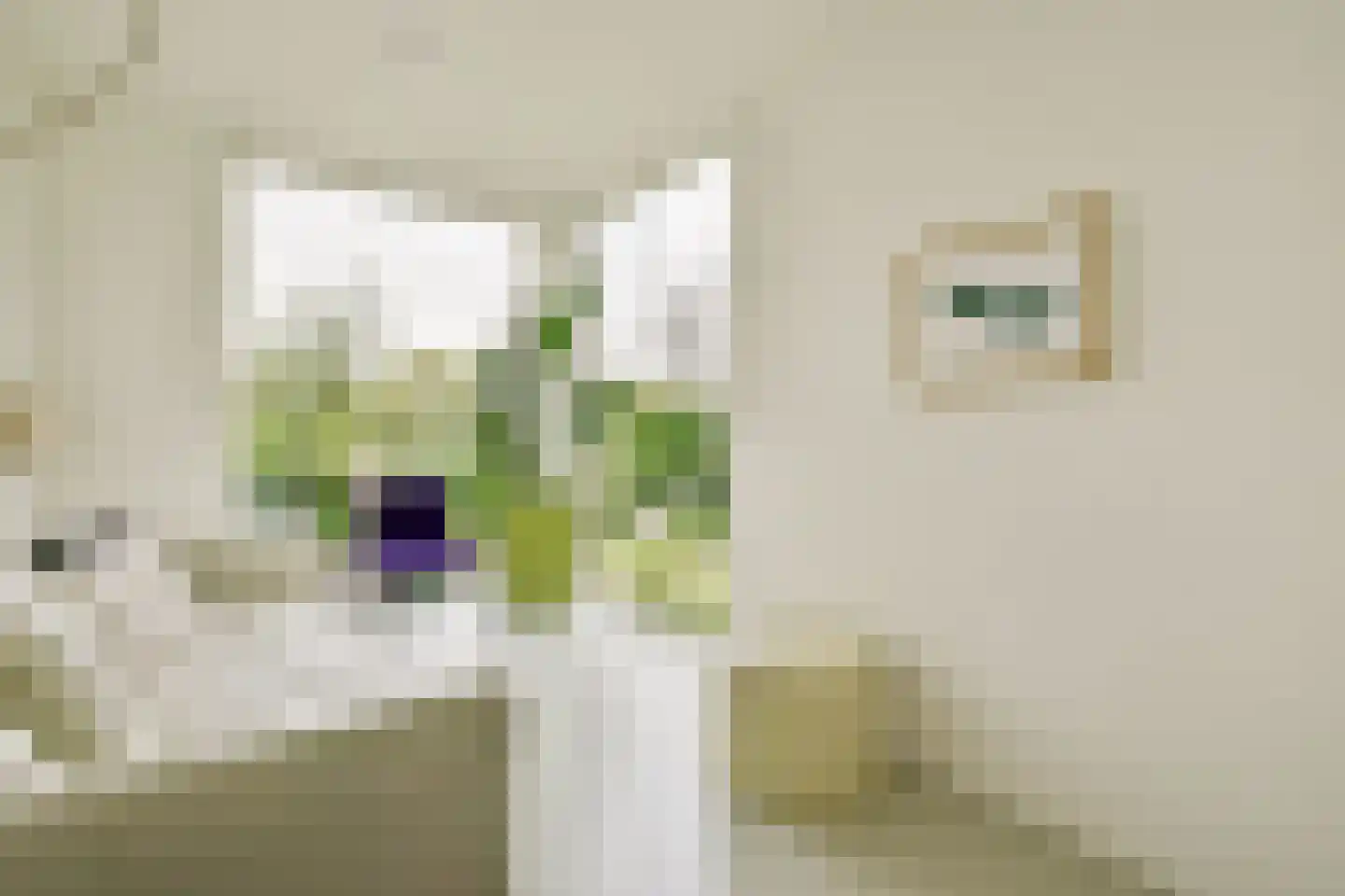 Tamariskhof 7 Amsterdam thumbnail 23