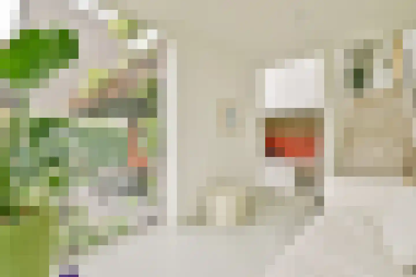 Tamariskhof 7 Amsterdam thumbnail 24