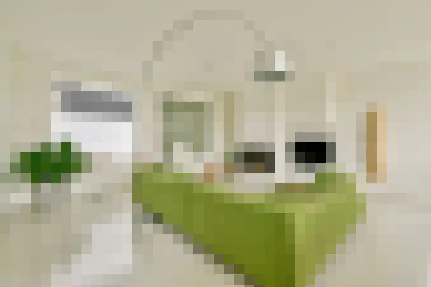 Tamariskhof 7 Amsterdam thumbnail 26