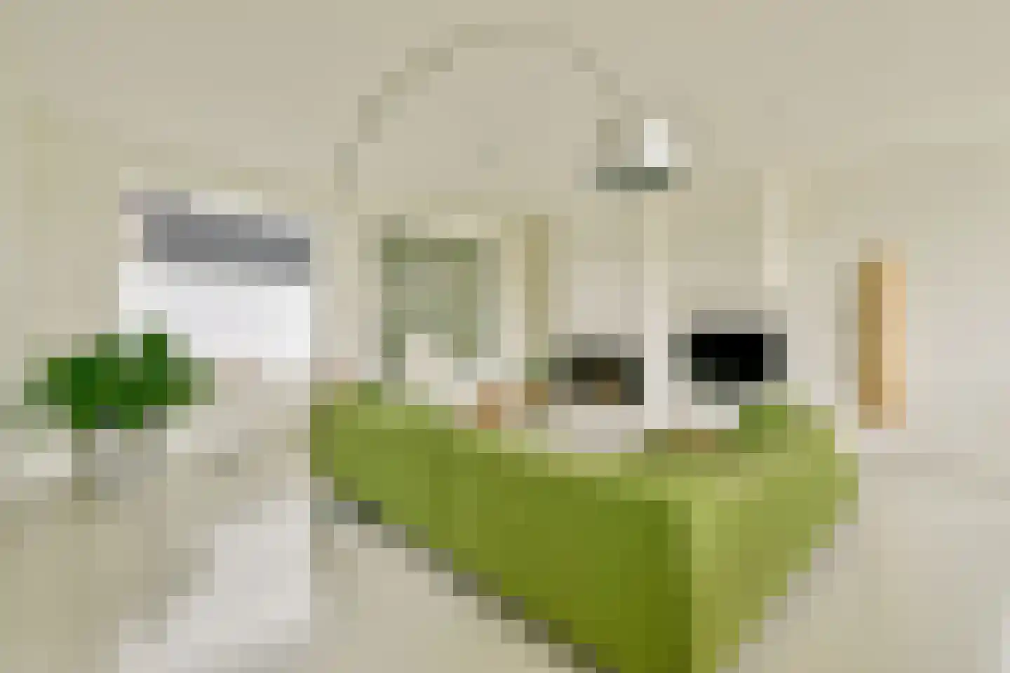 Tamariskhof 7 Amsterdam thumbnail 27