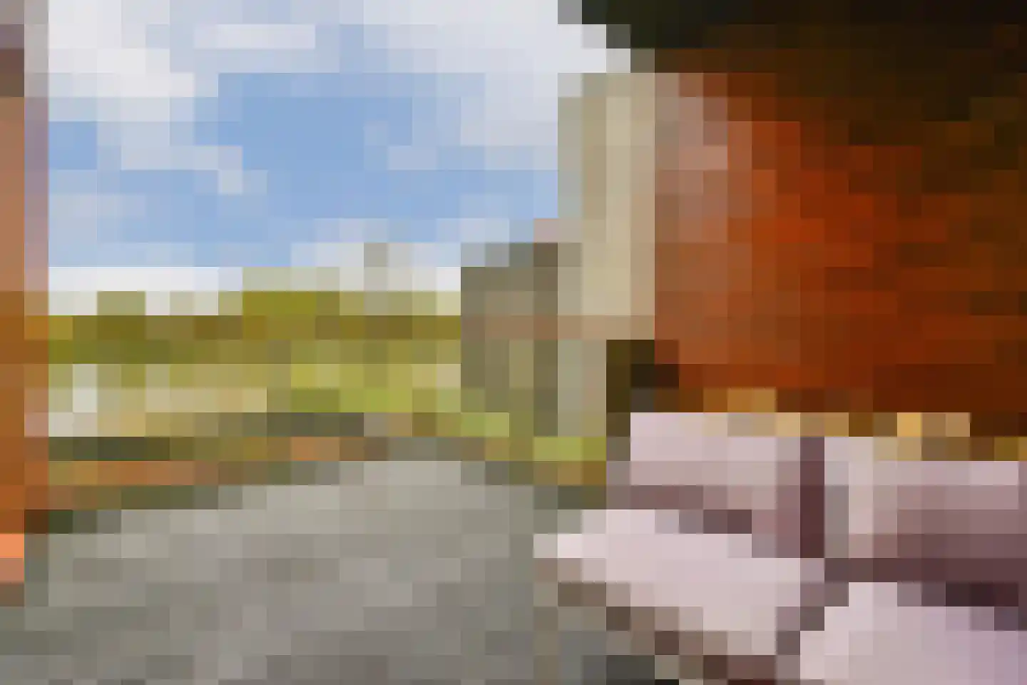 Tamariskhof 7 Amsterdam thumbnail 29