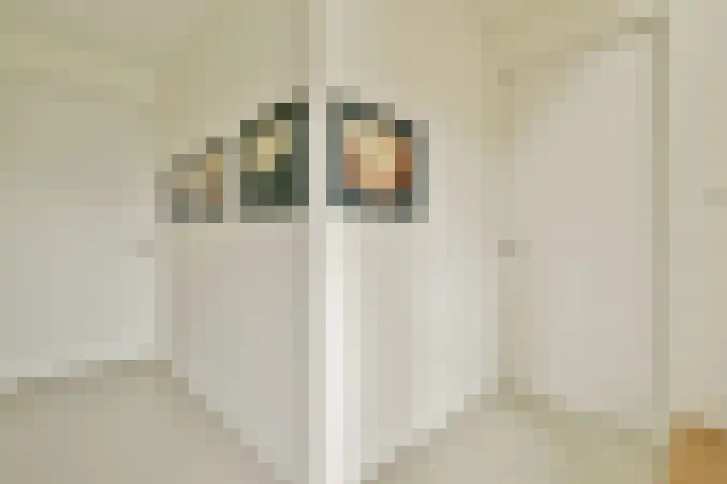 Tamariskhof 7 Amsterdam thumbnail 32