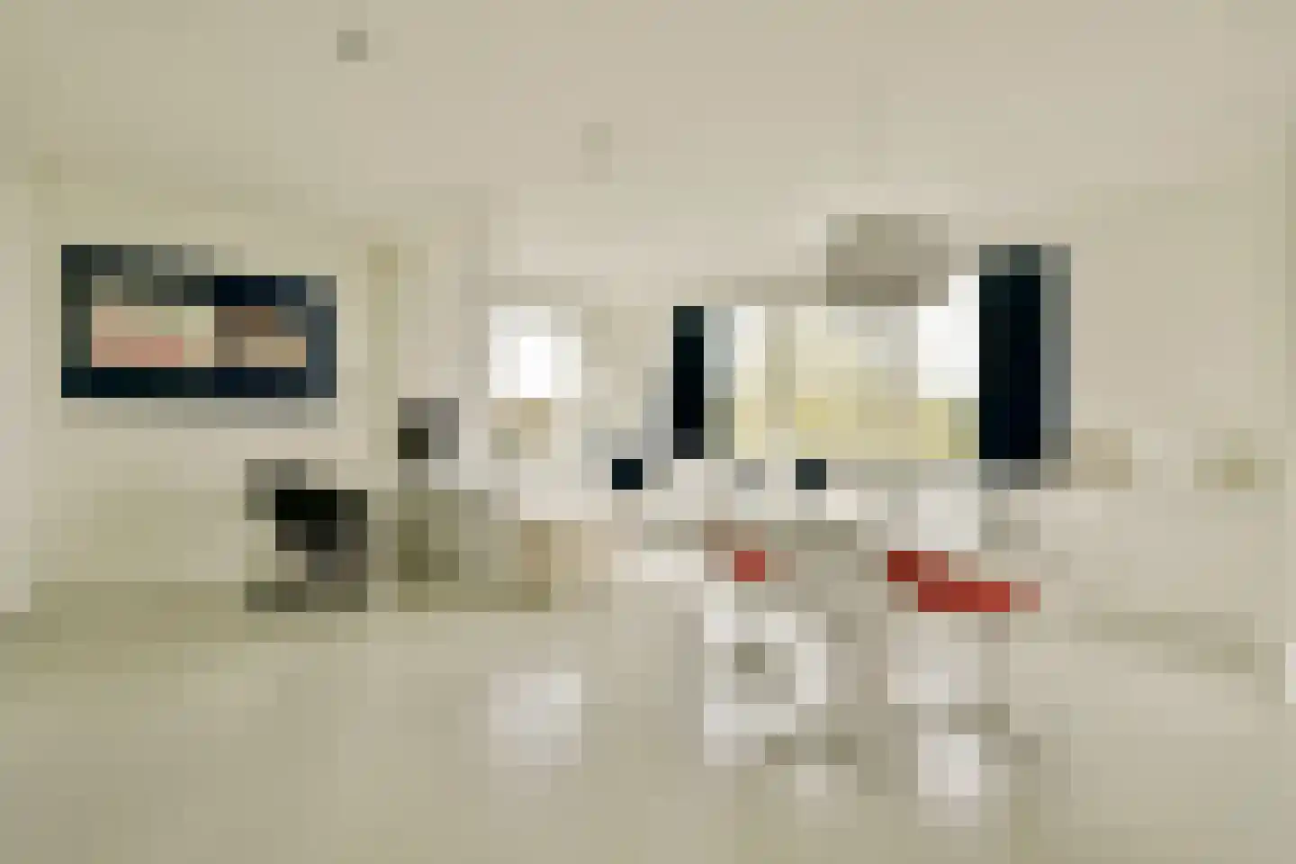 Tamariskhof 7 Amsterdam thumbnail 38