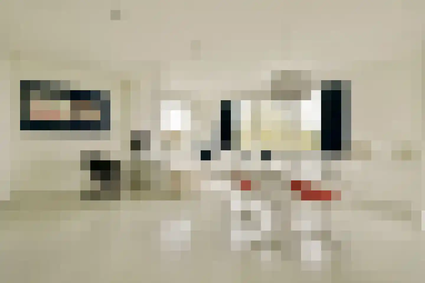 Tamariskhof 7 Amsterdam thumbnail 39